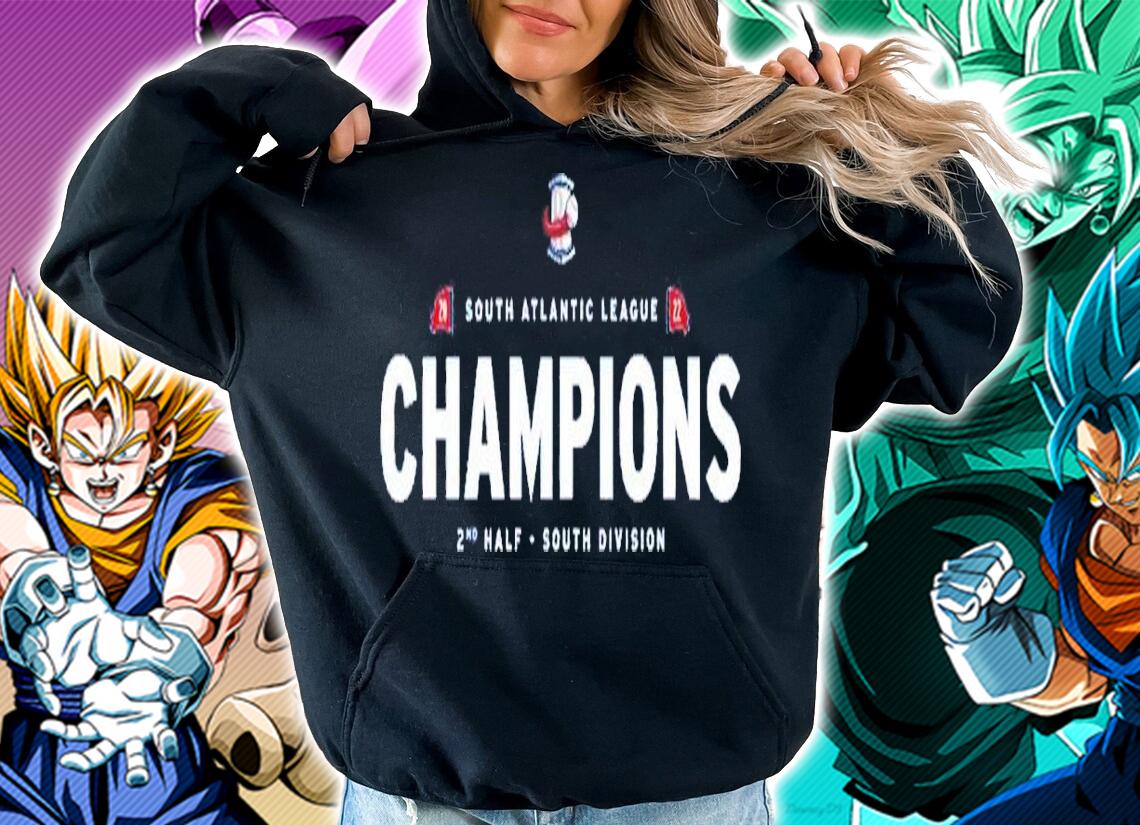 Rome Braves 2nd Half SAL Champions shirt t-shirt hoodie