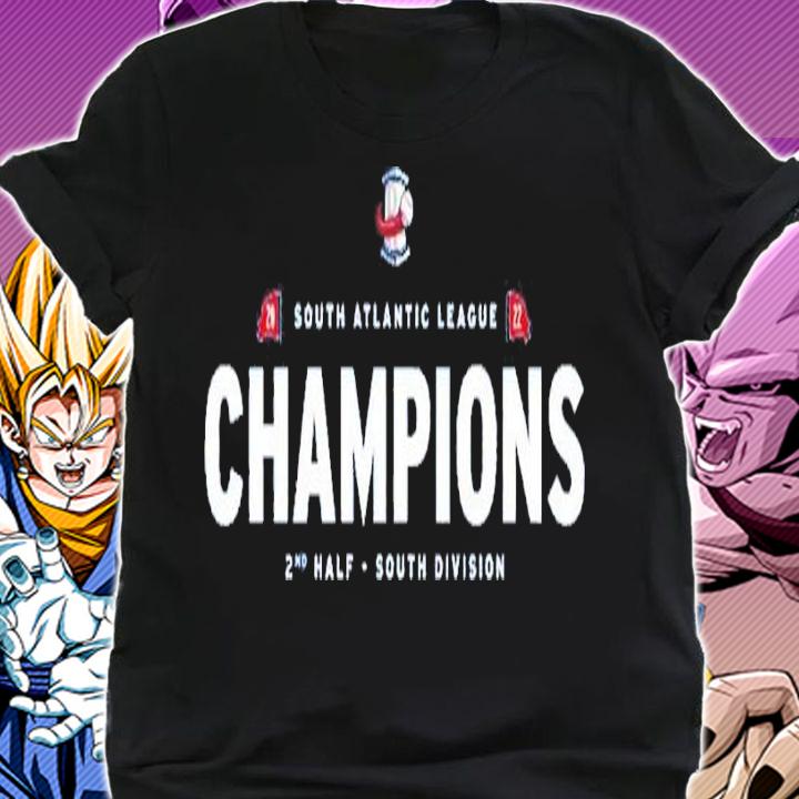 Rome Braves 2nd Half SAL Champions shirt t-shirt shirt