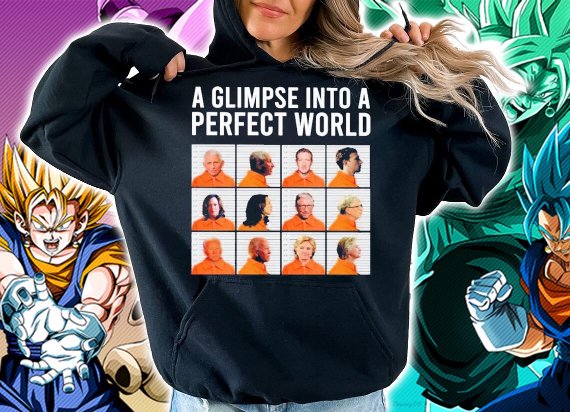 A Glimpse Into A Perfect World Shirt t-shirt hoodie