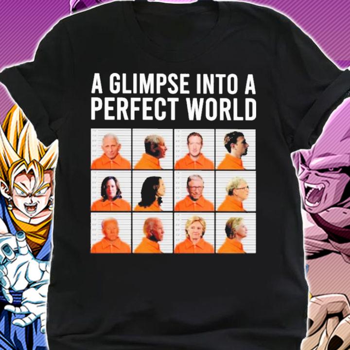 A Glimpse Into A Perfect World Shirt t-shirt shirt