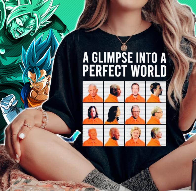 A Glimpse Into A Perfect World Shirt t-shirt woman shirt