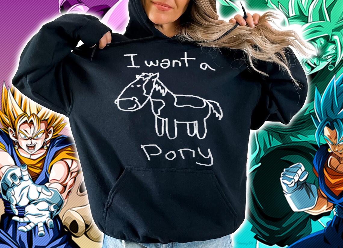 I Want A Pony Funny Kid Drawing Picture Horse Shirt hoodie