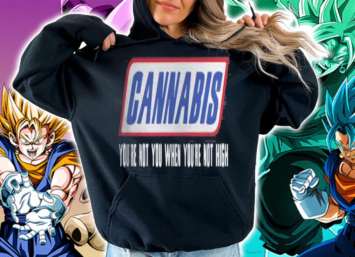 Cannabis you're not you when you're not high shirt hoodie