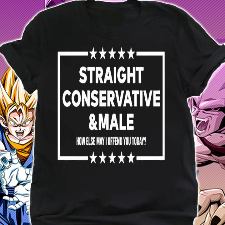 Straight Conservative Or Male How Else May Offend You Today T-Shirt shirt